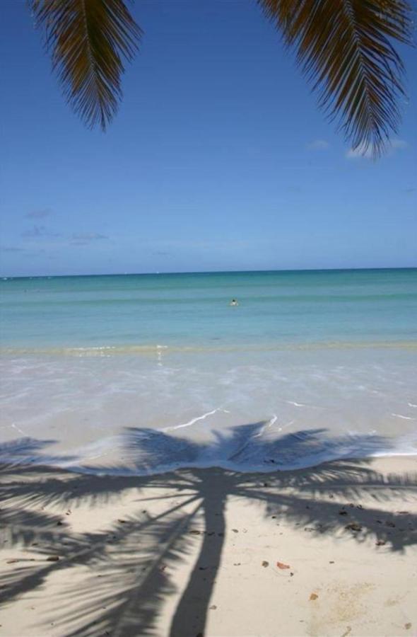 T2 Les pieds dans l'eau face à la mer des caraïbes Sainte Luce - Trois Rivières Sainte-Luce Exterior foto